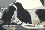 craws_06